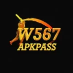 w567 game