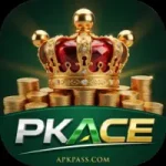 Pkace Game